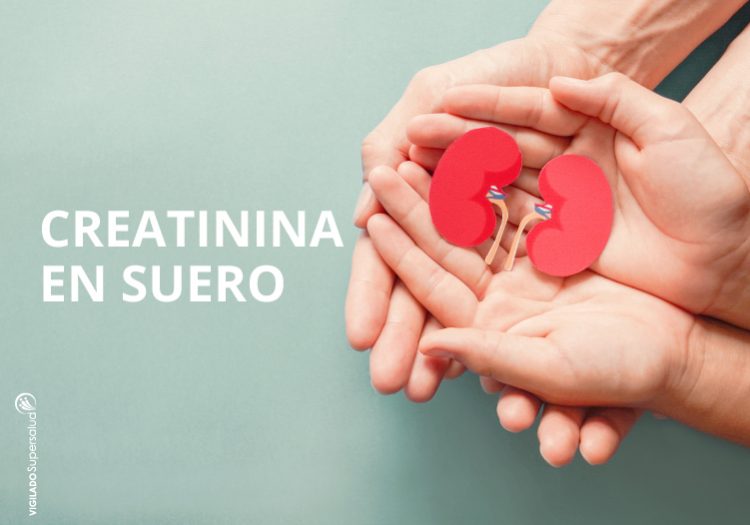 creatinina-en-suero-SYNLAB
