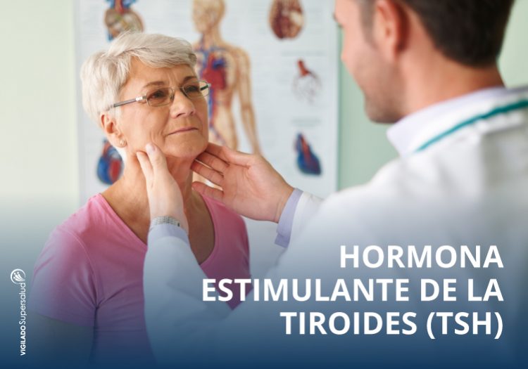 hormona-estimulante-de-la-tiroides-tsh-SYNLAB