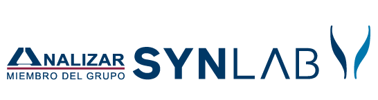 SConsulta de estados financieros Analizar Synlab